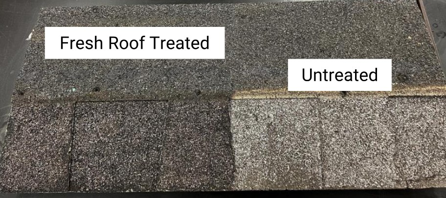 Aged shingle sample, half treated with Fresh Roof and darker, half untreated and faded