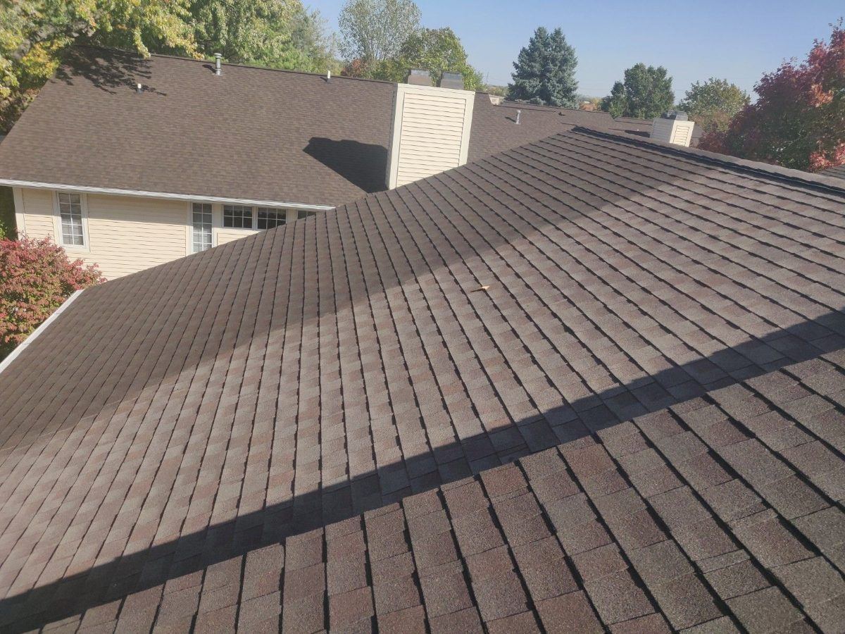Brown shingle roof with the treated section noticeably darker than the untreated section